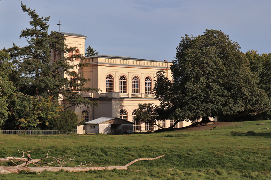 Putbus%20-%20Schlosskirche.jpg